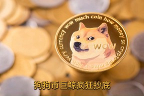 Kaiyun中国大陆官方登录-狗狗币投资骗局被揭发，已有超11.57人被骗！